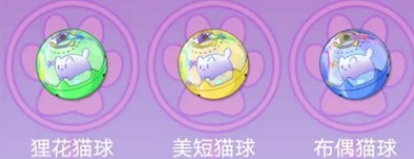 《猫之城》猫球怎么训练 猫之城怎么训练猫球2
