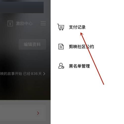 剪映支付记录如何查看