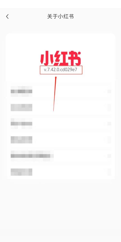 小红书如何查看版本号