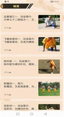 全民学武功最新版