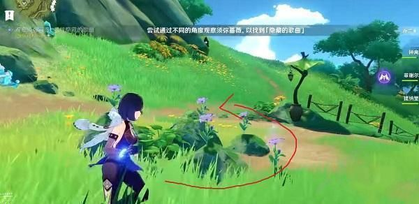 《原神》观察须弥蔷薇寻找隐藏的歌曲流程 原神3