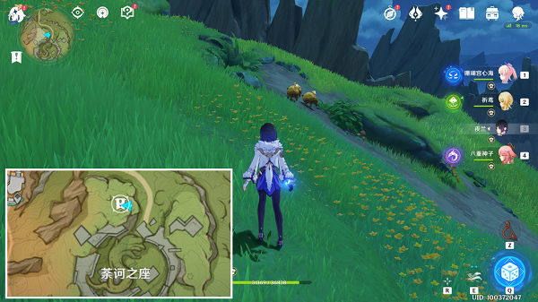 《原神》与珍稀之鸟的短暂邂逅任务全图文流程 原神1