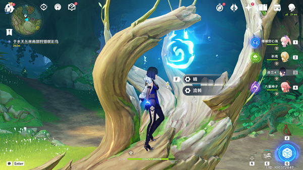 《原神》与珍稀之鸟的短暂邂逅任务全图文流程 原神2