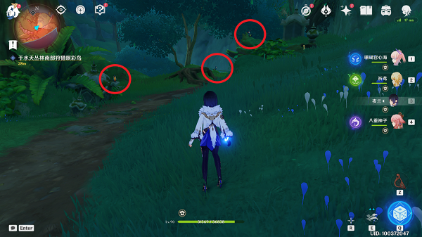 《原神》与珍稀之鸟的短暂邂逅任务全图文流程 原神3