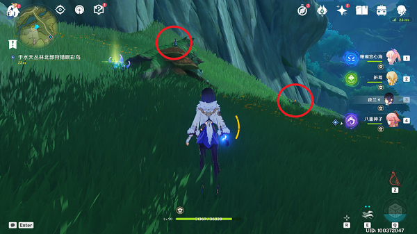 《原神》与珍稀之鸟的短暂邂逅任务全图文流程 原神4