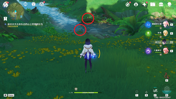 《原神》与珍稀之鸟的短暂邂逅任务全图文流程 原神5