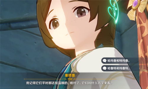 原神两只猫的名字叫什么 塞塔蕾的猫名字一览