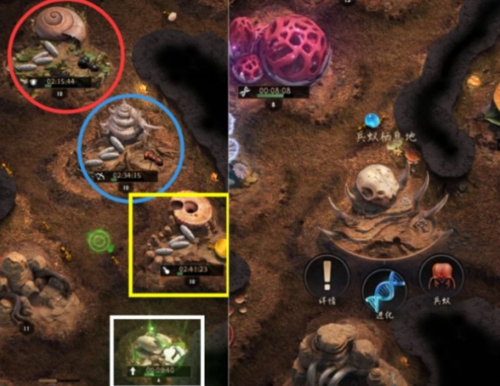 《小小蚁国》兵种孵化方法介绍 小小蚁国兵种孵化方法一览