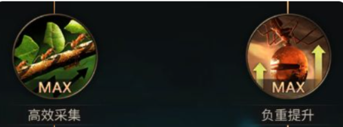 《小小蚁国》野外资源采集效率提升方法 小小蚁国野外采集效率快速提升方法介绍