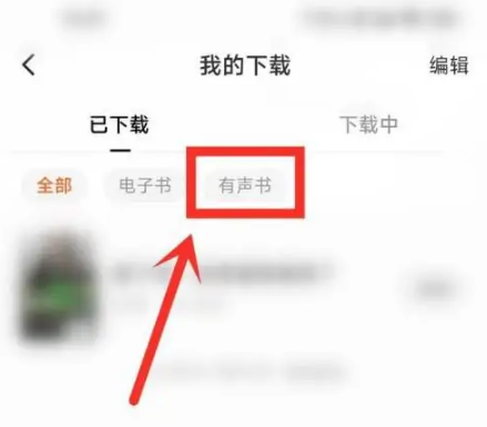 1665466934397808.png 番茄小说下载的小说在什么地方可以听