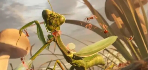 《小小蚁国》带兵量提升方法 小小蚁国带兵数量快速提升方法介绍