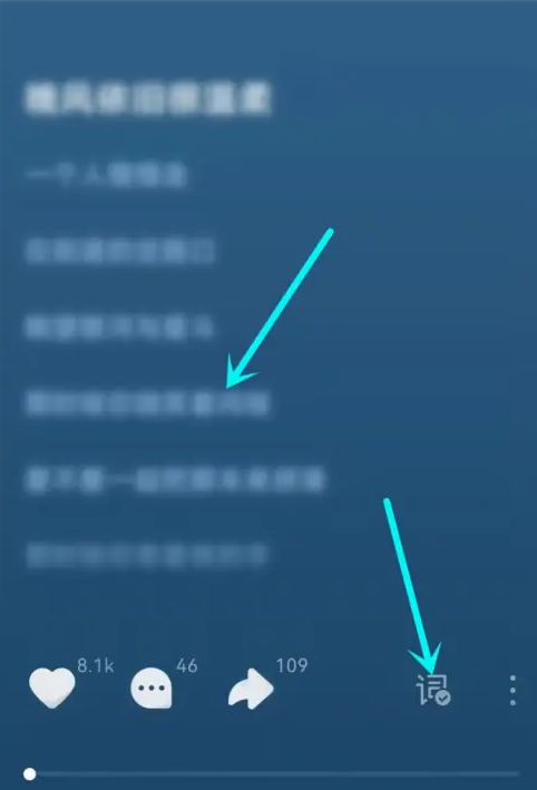 1665717628435993.png 汽水音乐歌词怎么显示