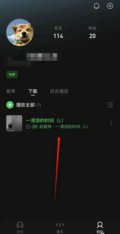 汽水音乐下载的歌曲在哪里