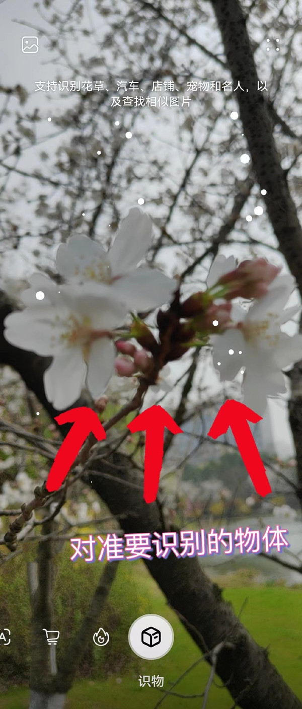 华为mate50rs保时捷如何打开识物功能