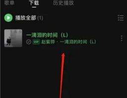1666159300519995.png 汽水音乐歌曲存储路径在什么地方