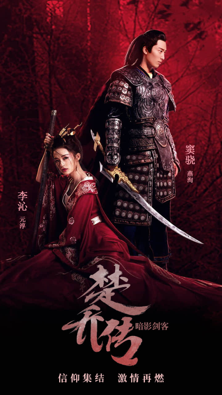 楚乔传暗影剑客