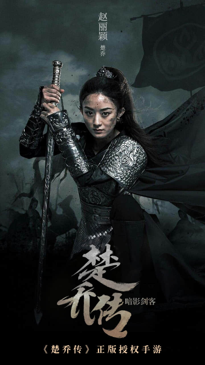 楚乔传暗影剑客