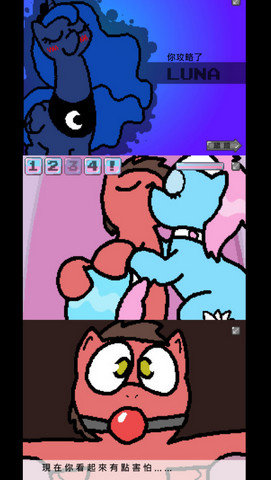 小马国的禁止事项圣诞节版本