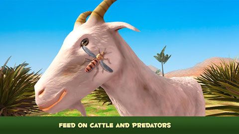 蚊子模拟器手机版