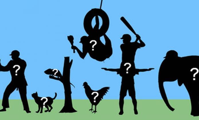 奇怪的击球手中文版