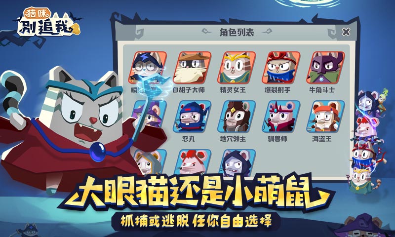 猫咪别追我手机版