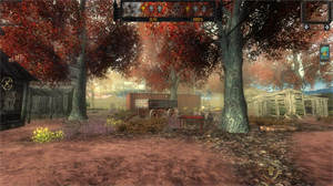 zonax计划终极版