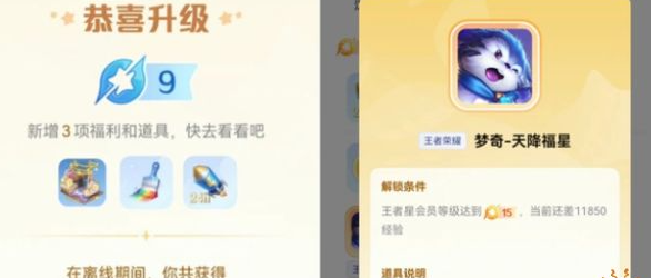 1668484862314164.png 王者荣耀星会员等级在哪里看