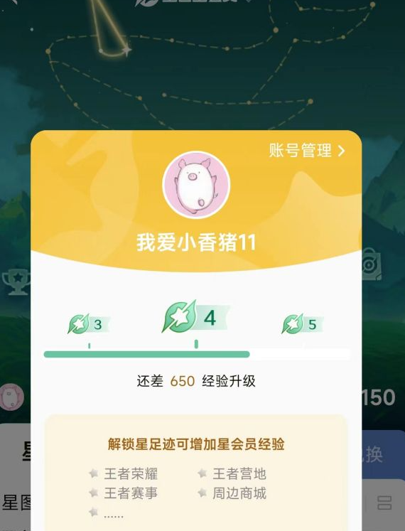 王者荣耀星会员有什么作用