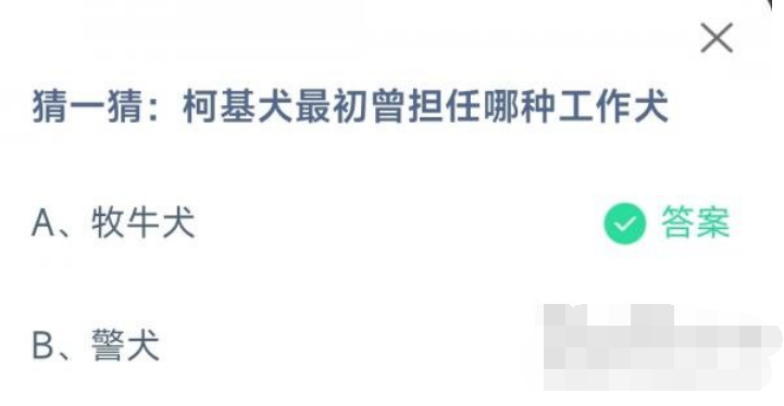 1669081158724039.png 柯基犬最初曾担任哪种工作犬