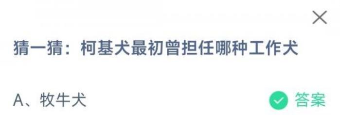 柯基犬最初是哪种工作犬