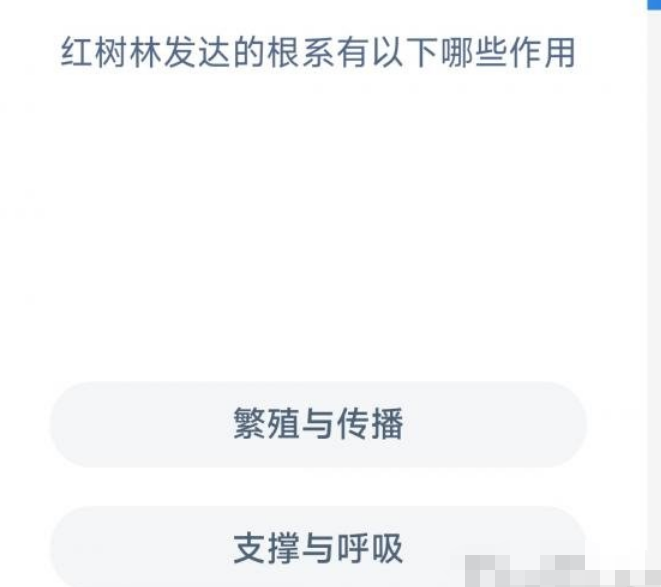 1669168771117108.png 红树林发达的根系有什么用