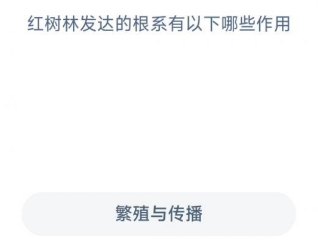 1669168939798293.png 红树林发达根系作用是什么