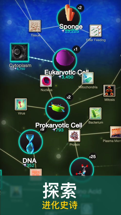 从细胞到奇点进化永无止境中文版