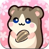 仓鼠好朋友最新版