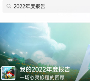 1672195582728099.png qq2022年度报告怎么进入怎么看