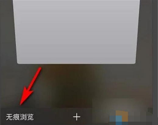 1672899494759530.png 苹果手机无痕浏览怎么取消