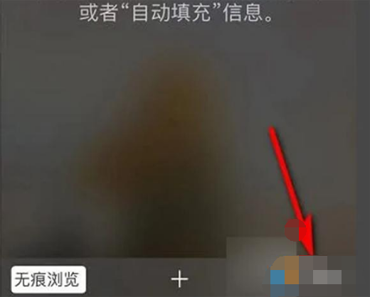 1672899507766537.png 苹果手机无痕浏览怎么取消