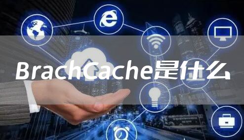 BrachCache是什么