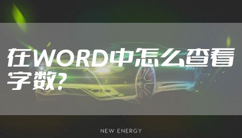在WORD中怎么查看字数?