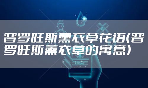 普罗旺斯薰衣草花语（普罗旺斯薰衣草的寓意）