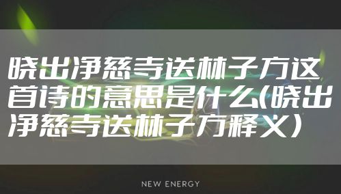 晓出净慈寺送林子方这首诗的意思是什么(晓出净慈寺送林子方释义)