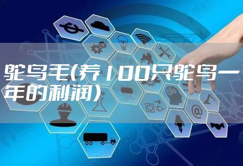 鸵鸟毛（养100只鸵鸟一年的利润）