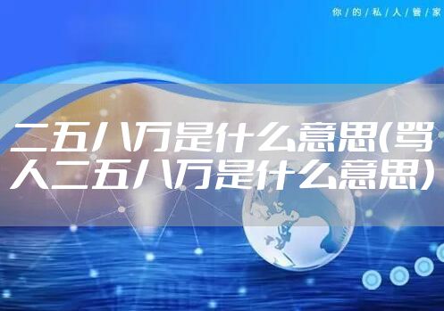 二五八万是什么意思（骂人二五八万是什么意思）