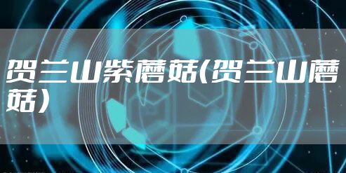 贺兰山紫蘑菇(贺兰山蘑菇)