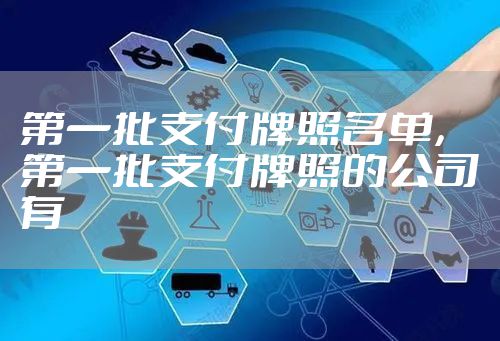 第一批支付牌照名单，第一批支付牌照的公司有