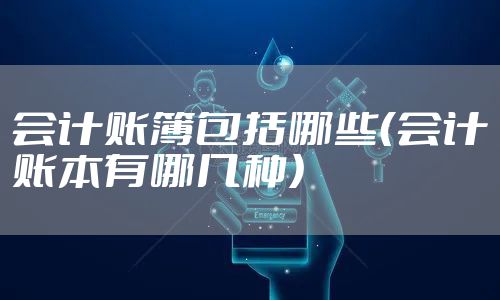 会计账簿包括哪些(会计账本有哪几种)