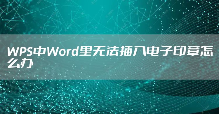 WPS中Word里无法插入电子印章怎么办