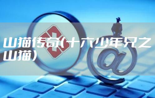 山猫传奇（十六少年兄之山猫）