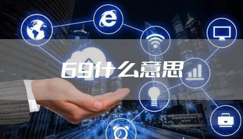 69什么意思