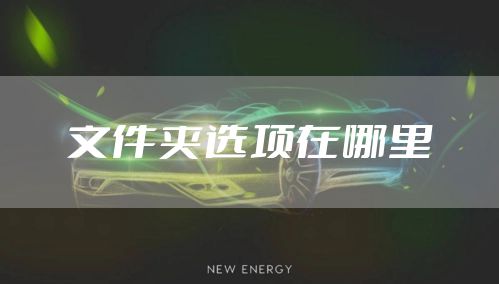 文件夹选项在哪里